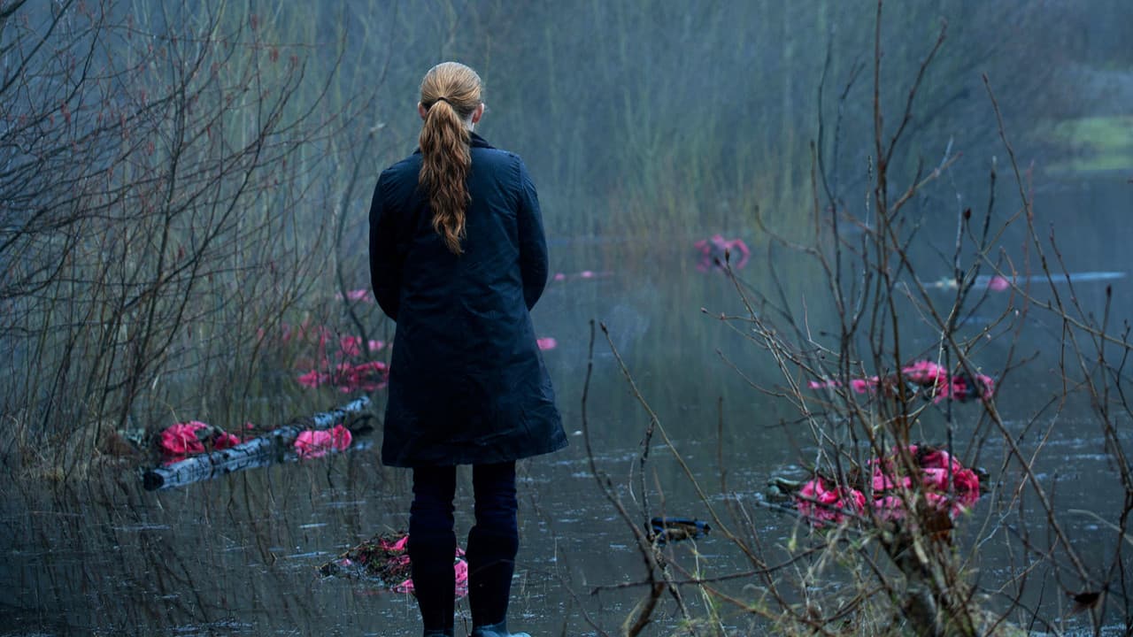 The Killing — backdrops 7