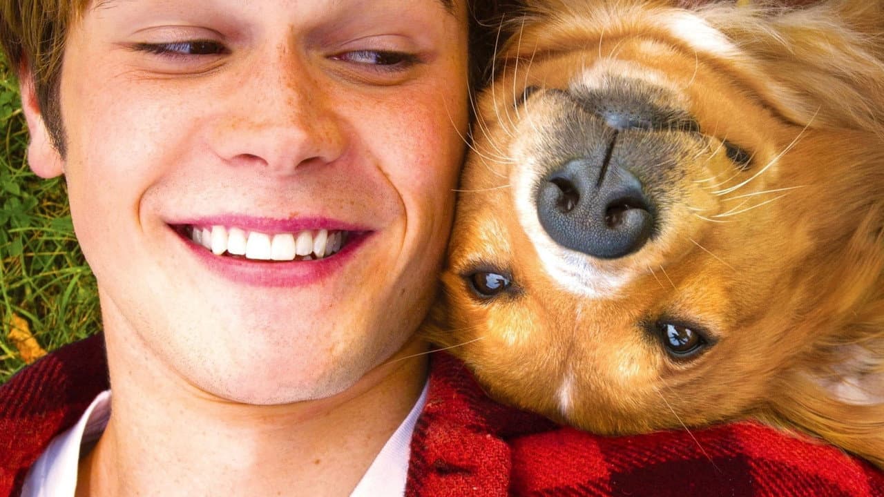 A Dog's Purpose — backdrops 5