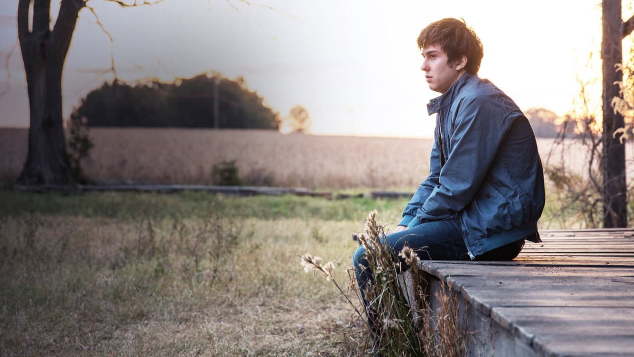 Paper Towns — backdrops 7