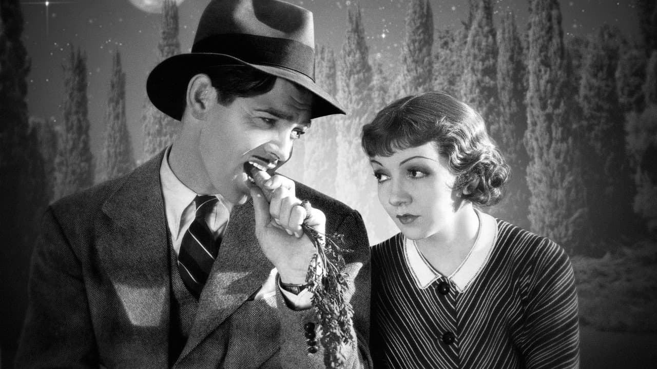 It Happened One Night — backdrops 5