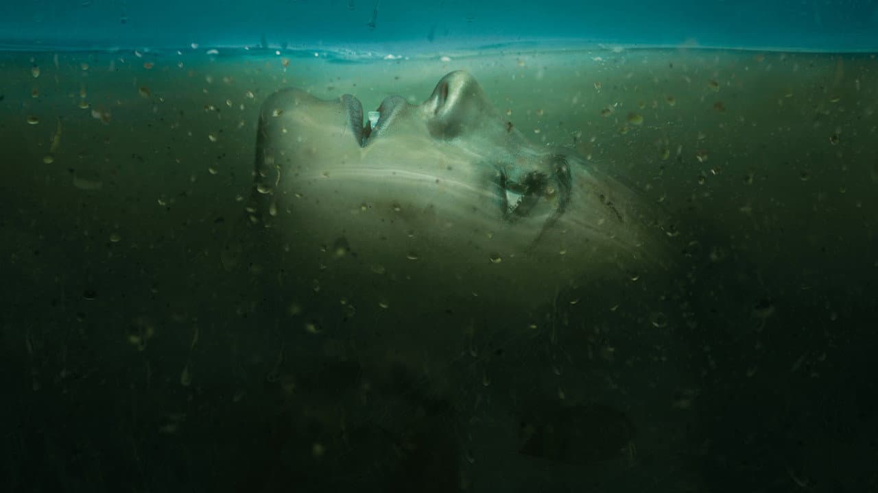 Absentia — backdrops 6