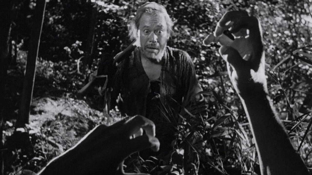 Rashomon — backdrops 2