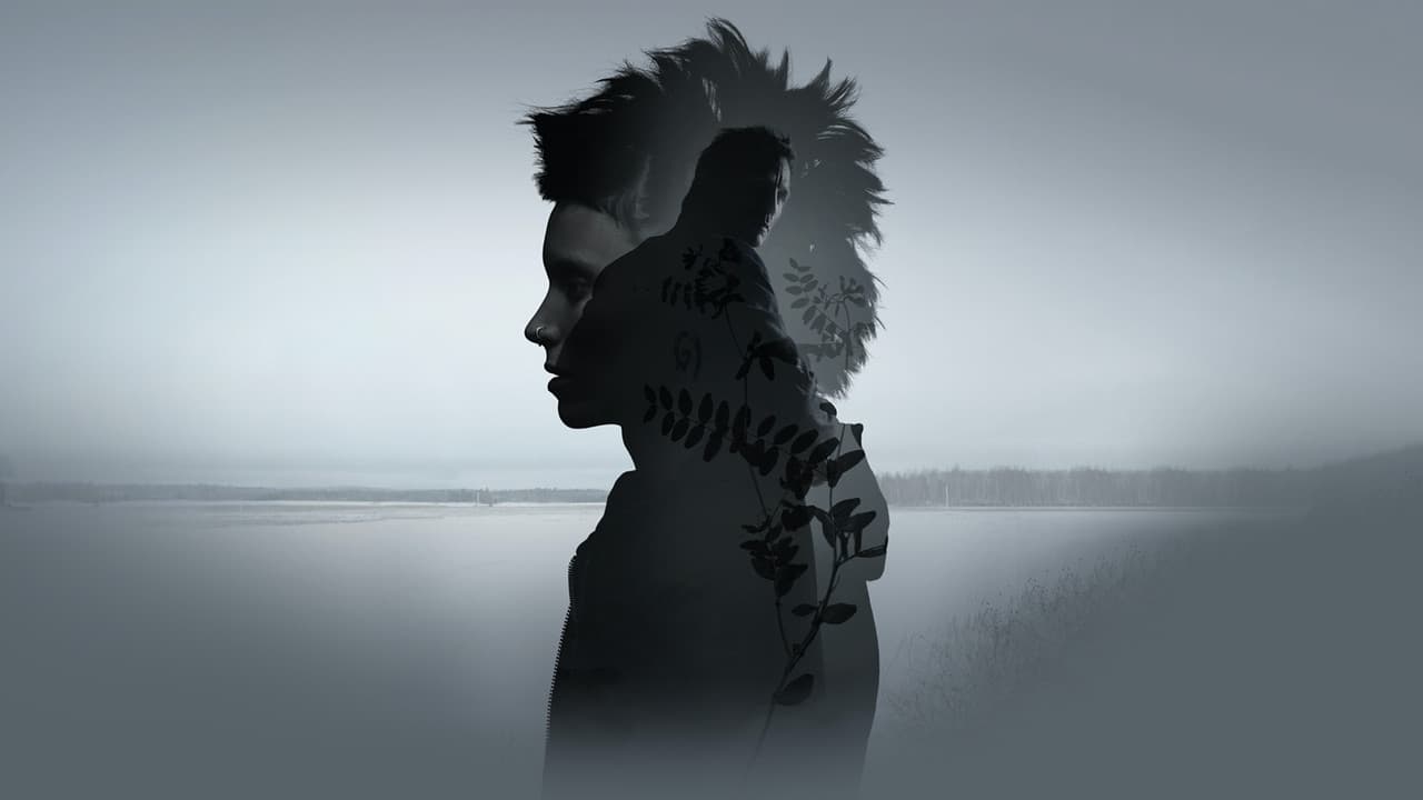 The Girl with the Dragon Tattoo — backdrops 1