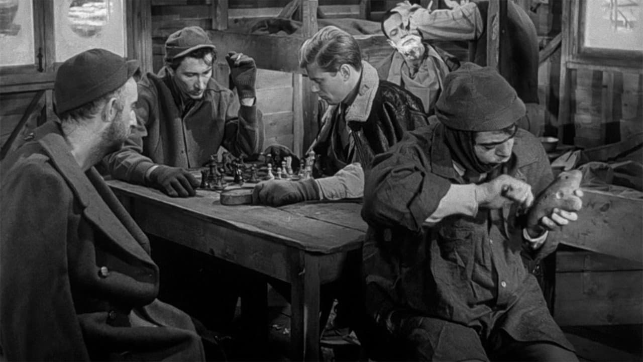 Stalag 17 — backdrops 2