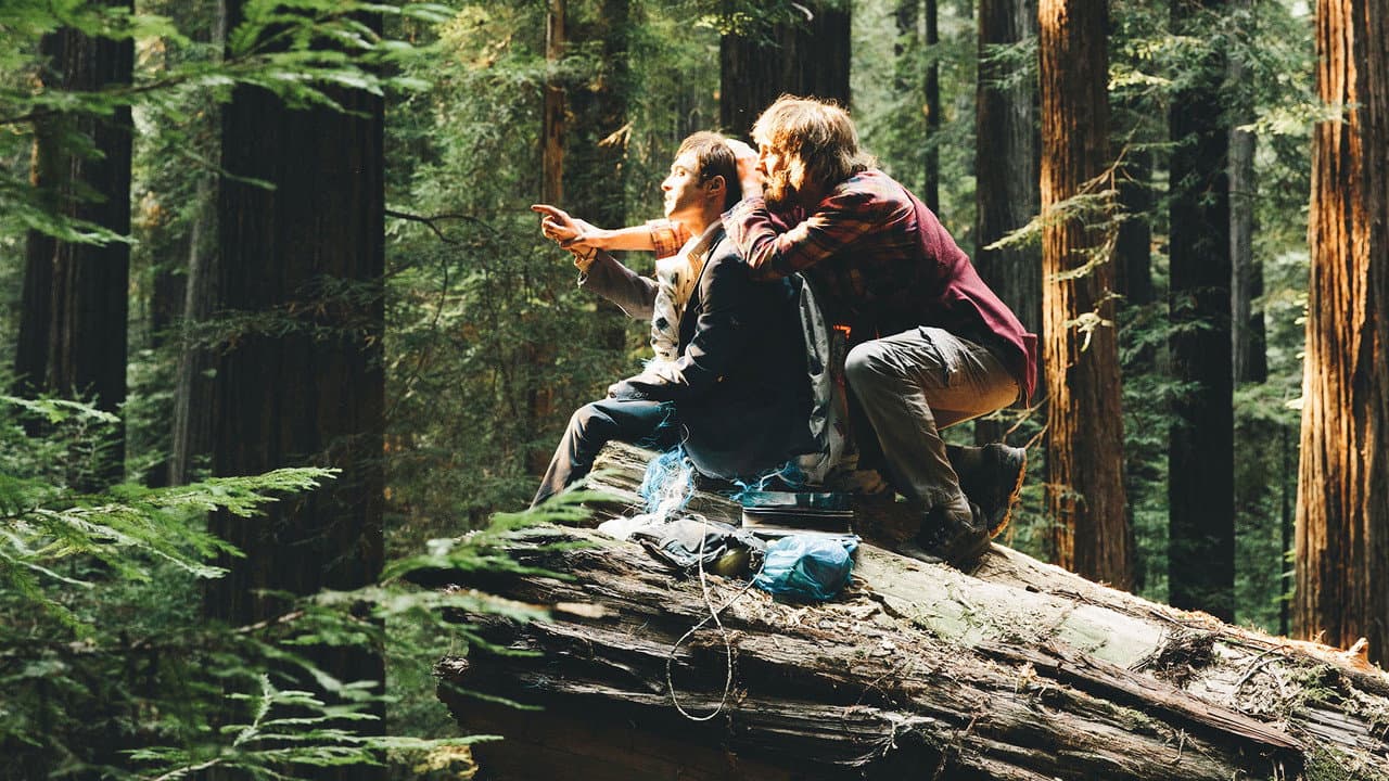 Swiss Army Man — backdrops 4