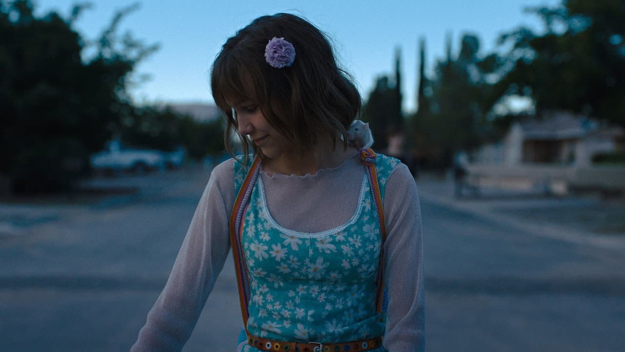 Stargirl — backdrops 3