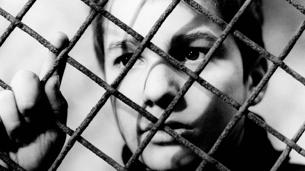 The 400 Blows — backdrops 5