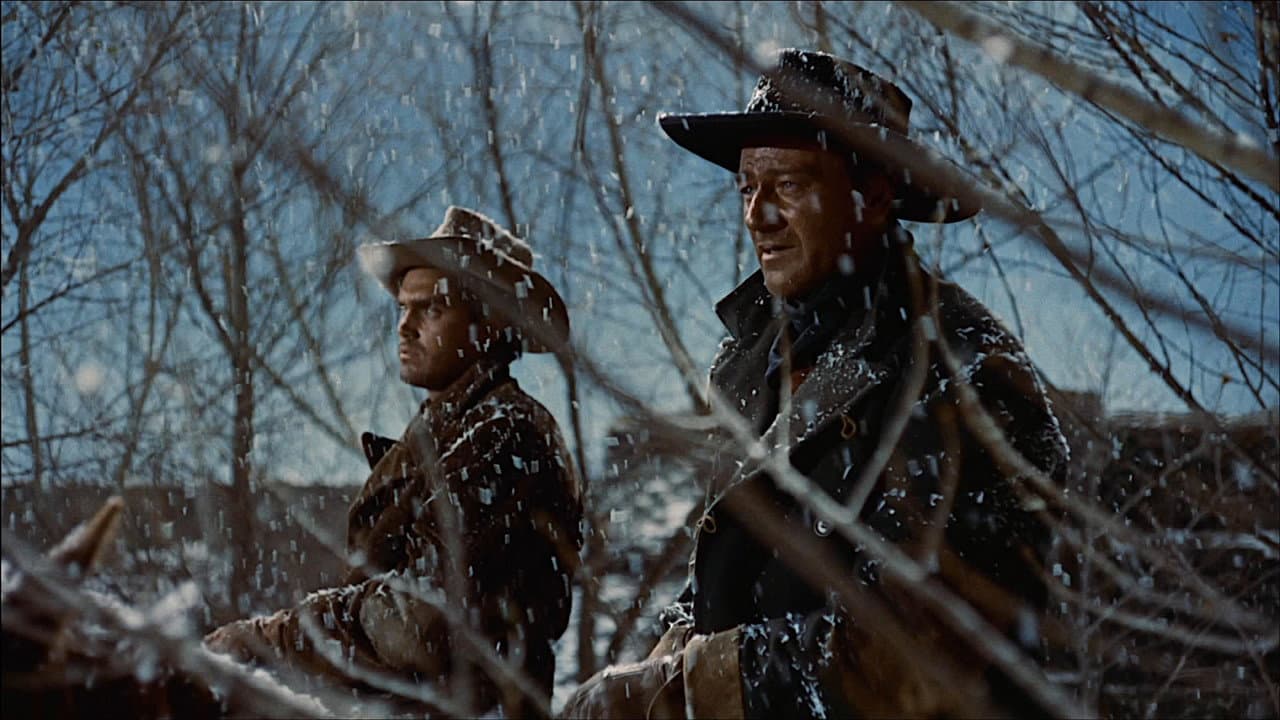 The Searchers — backdrops 7