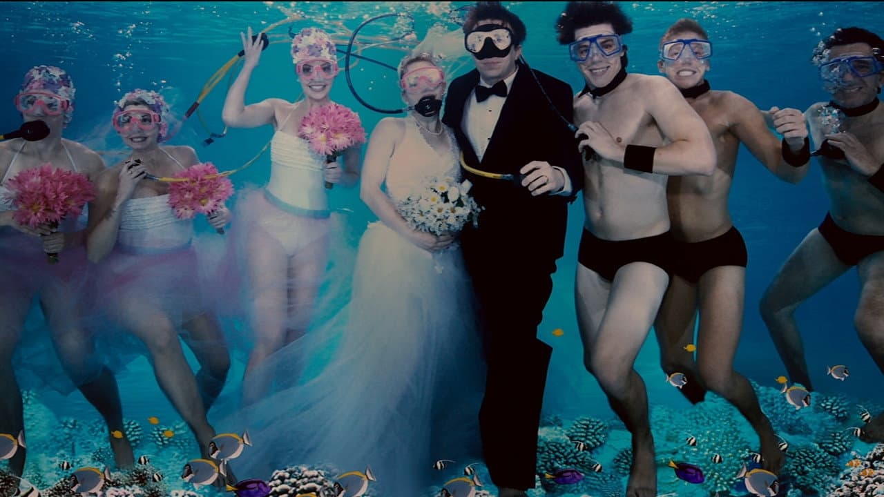27 Dresses — backdrops 4