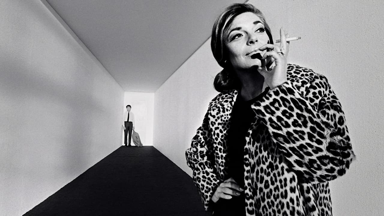 The Graduate — backdrops 7