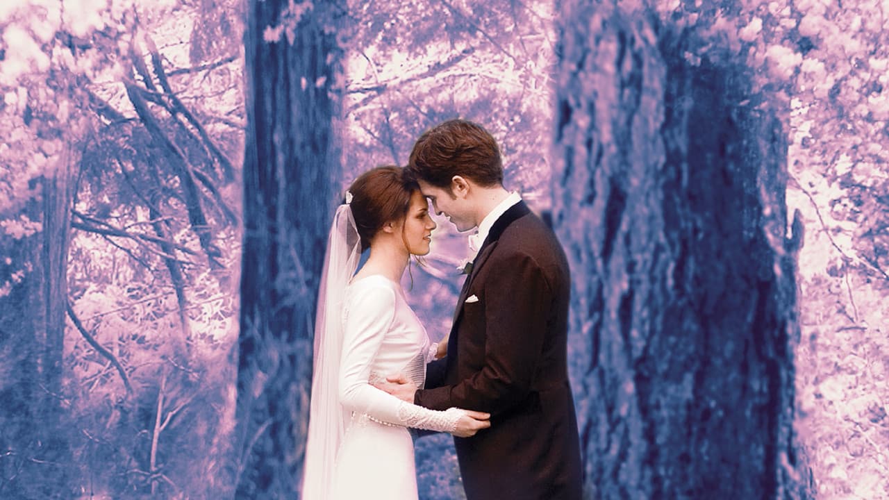 The Twilight Saga: Breaking Dawn - Part 1 — backdrops 7