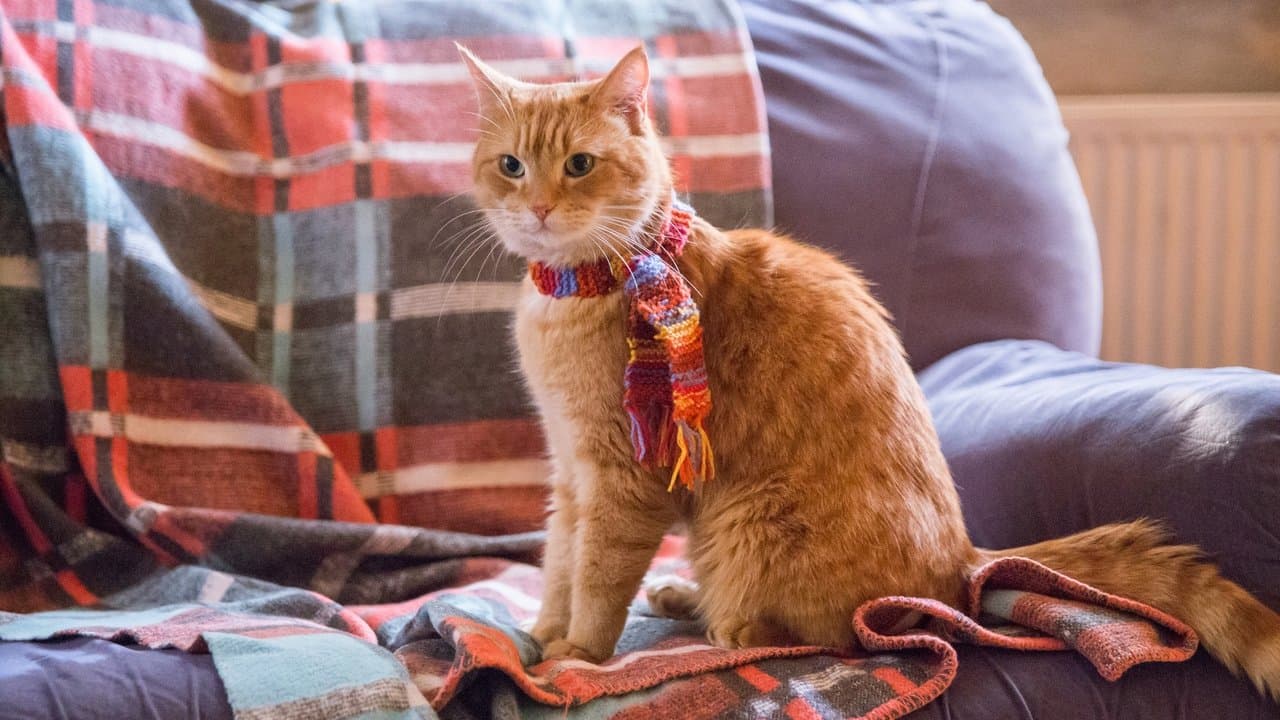 A Street Cat Named Bob — backdrops 2