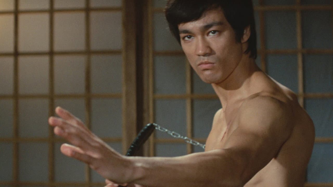 Fist of Fury — backdrops 5