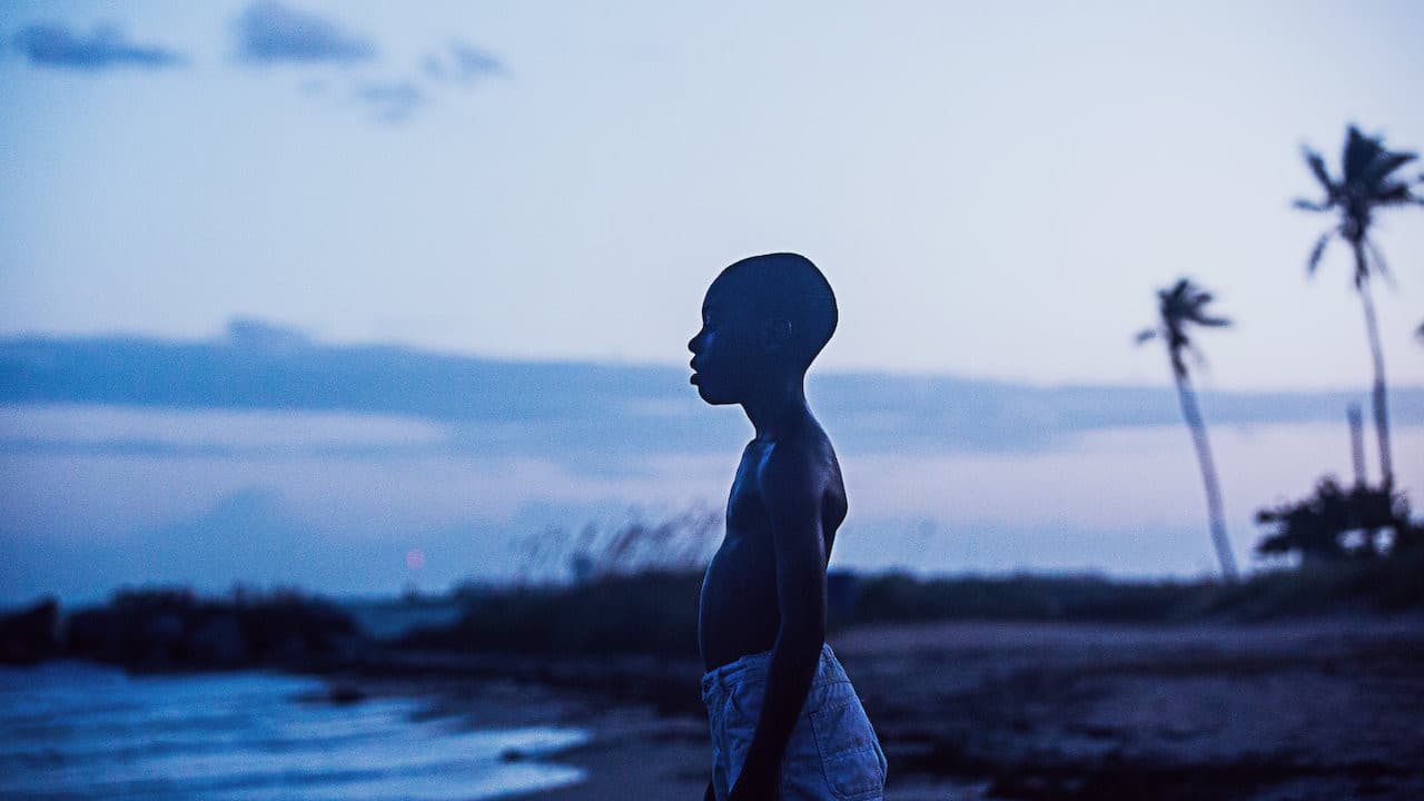 Moonlight — backdrops 6