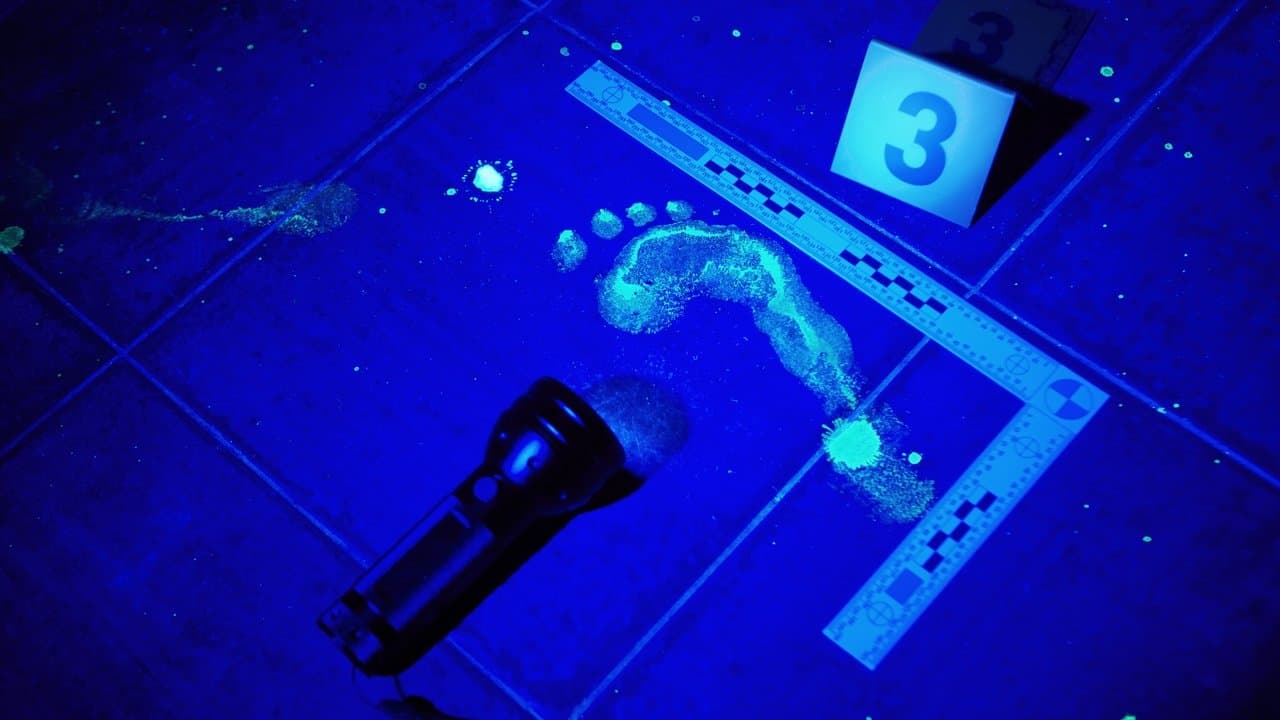 Forensic Files — backdrops 1