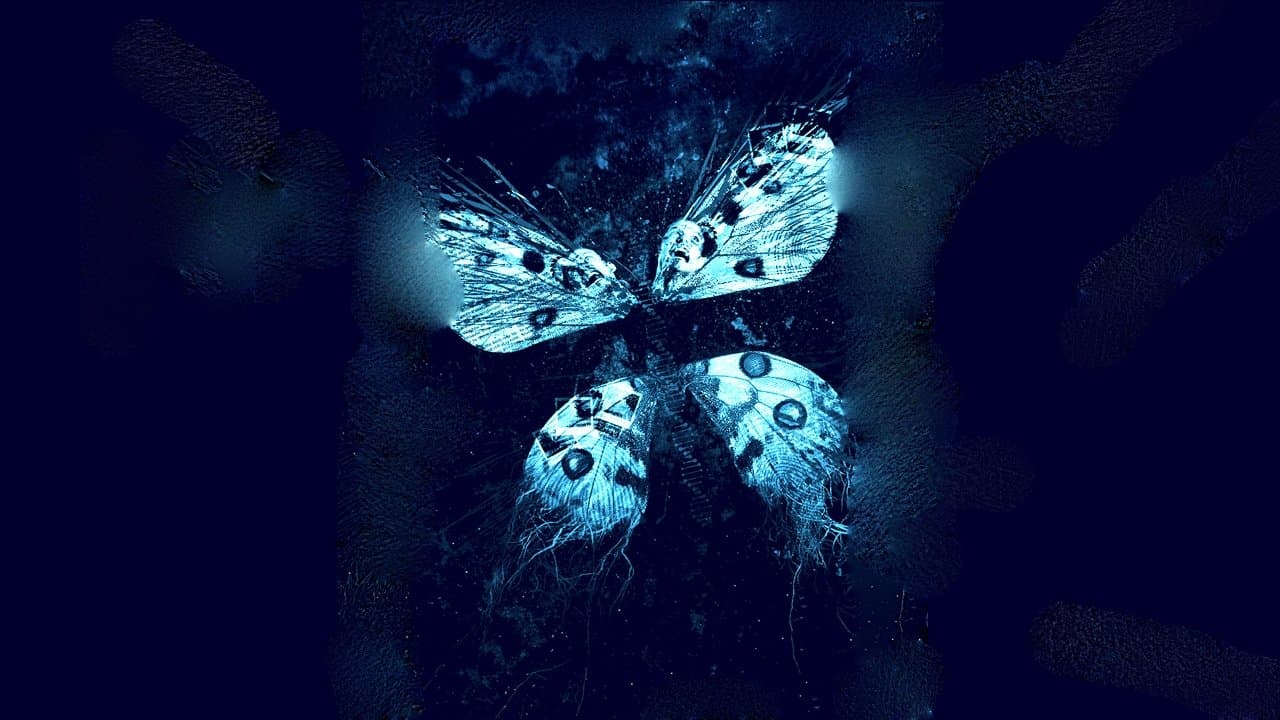 The Butterfly Effect 3: Revelations — backdrops 2