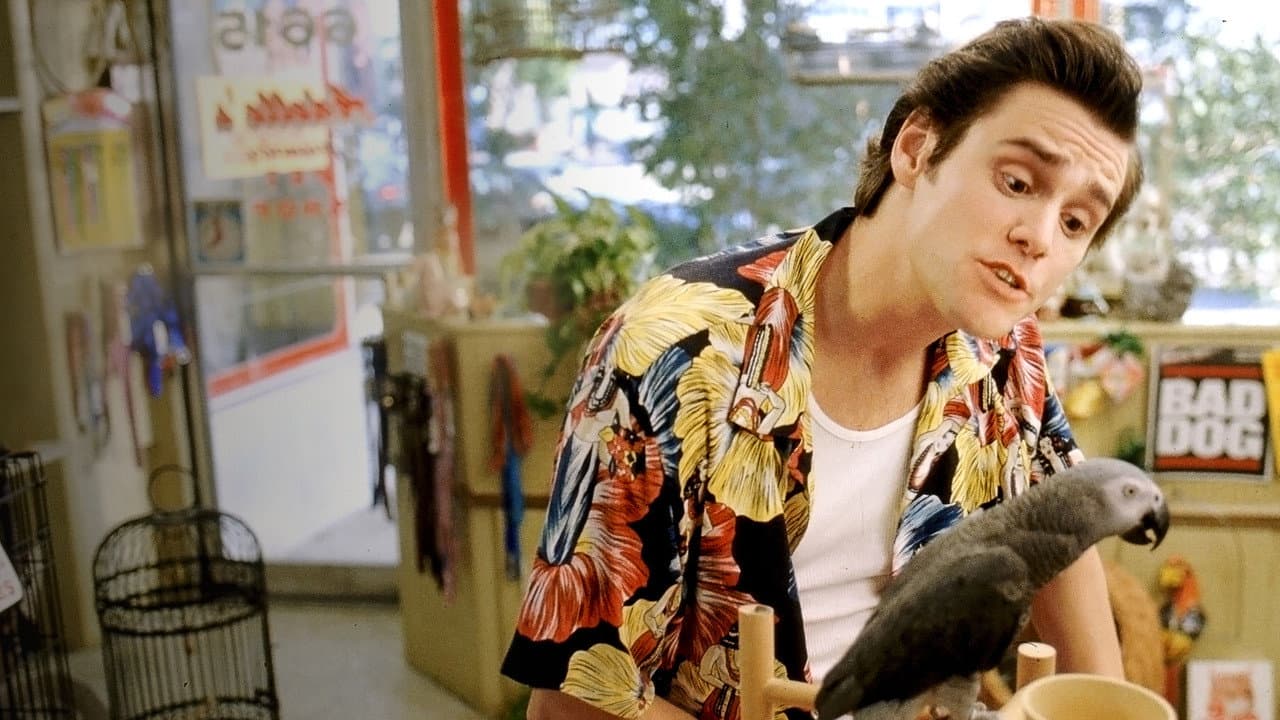 Ace Ventura: Pet Detective — backdrops 4
