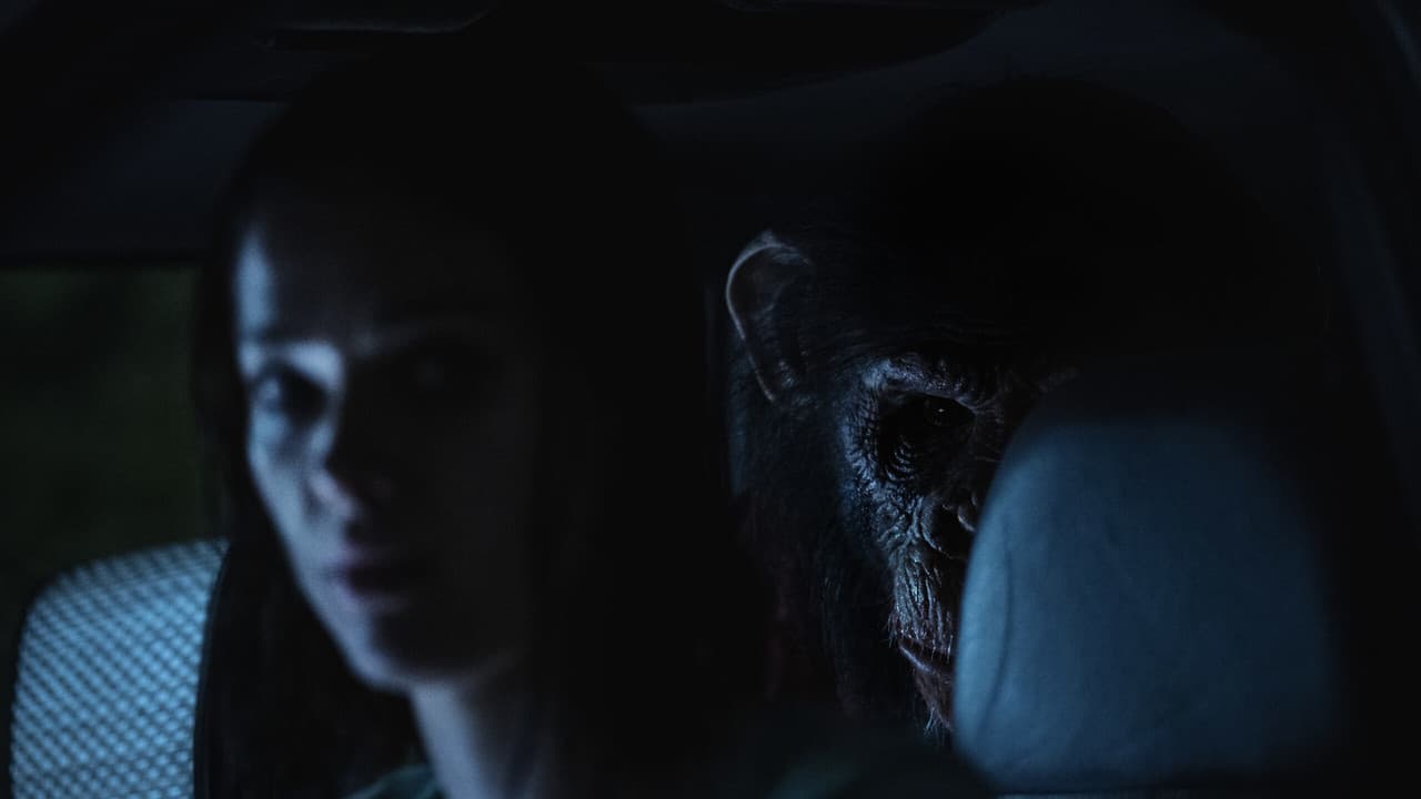 Primate — backdrops 7