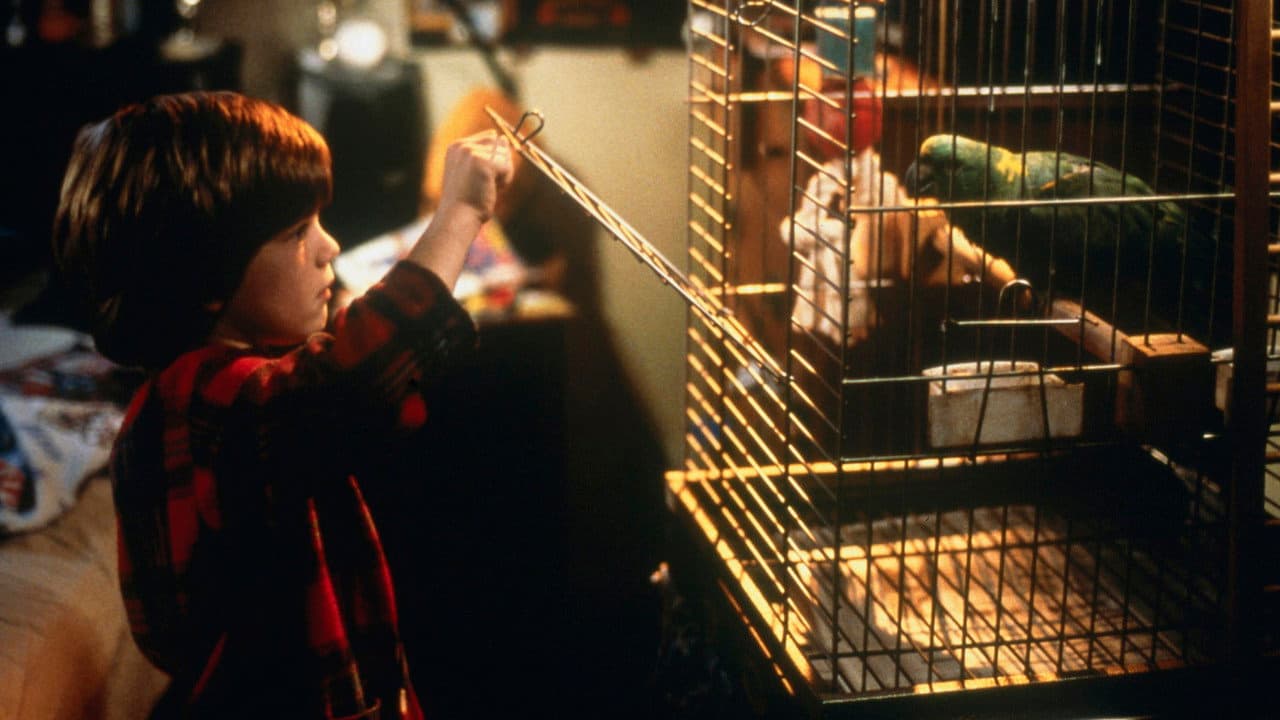 Home Alone 3 — backdrops 5