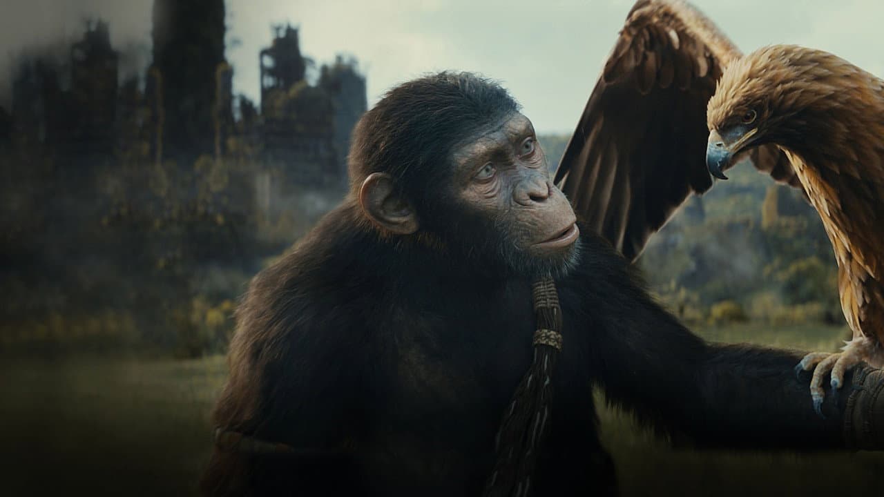 Kingdom of the Planet of the Apes — backdrops 6