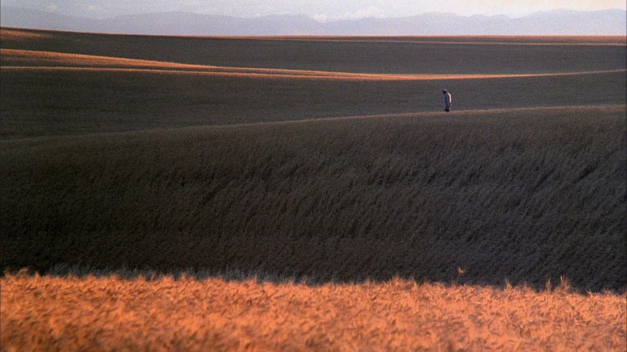 Days of Heaven — backdrops 6