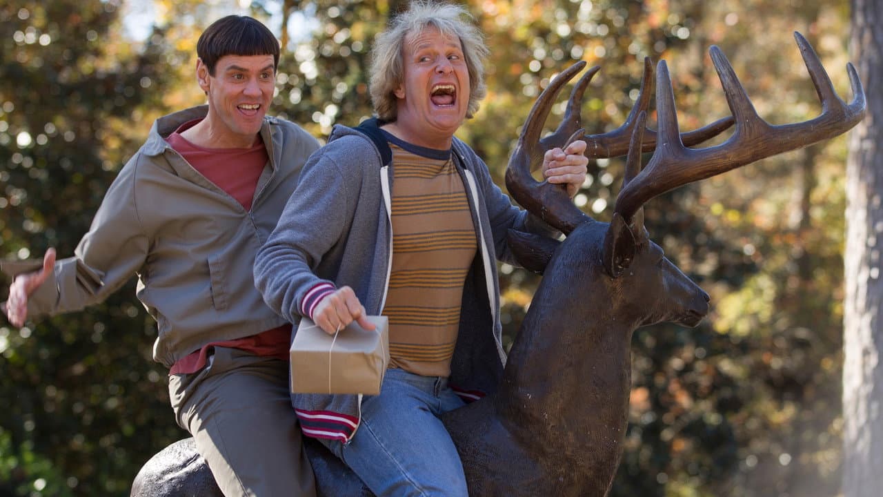 Dumb and Dumber To — backdrops 5