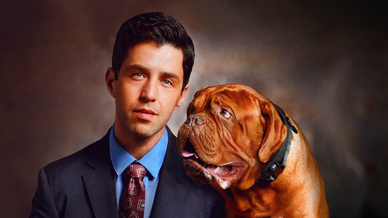 Turner & Hooch — backdrops 8