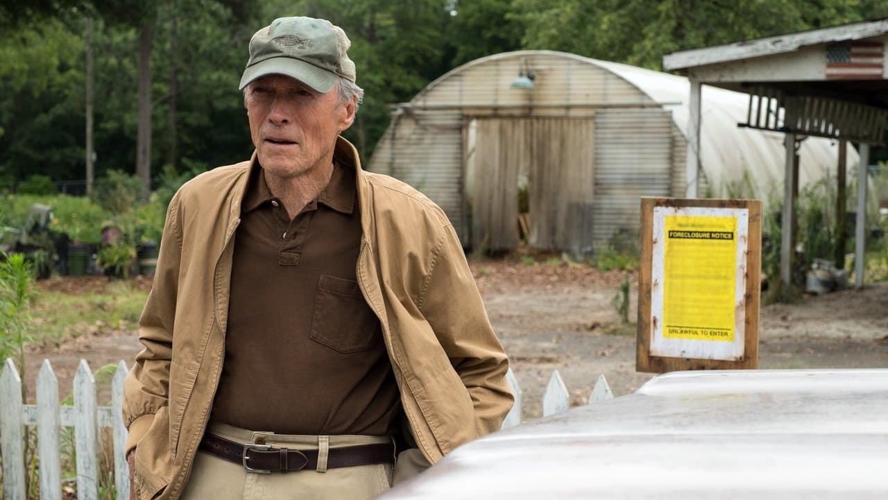 The Mule — backdrops 1