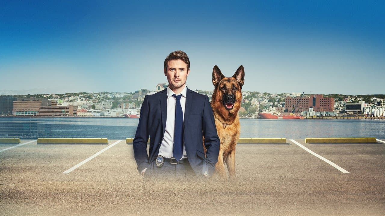 Hudson & Rex — backdrops 6