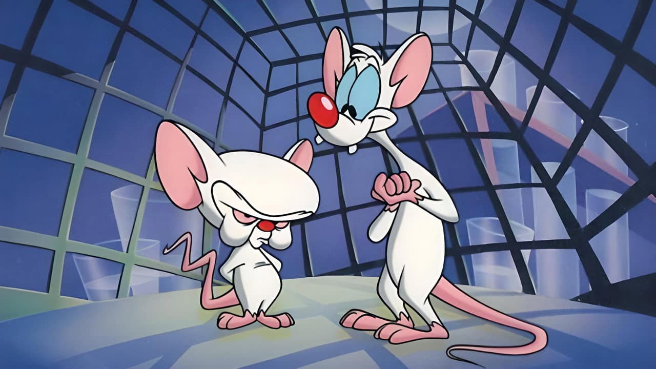 Pinky and the Brain — backdrops 1