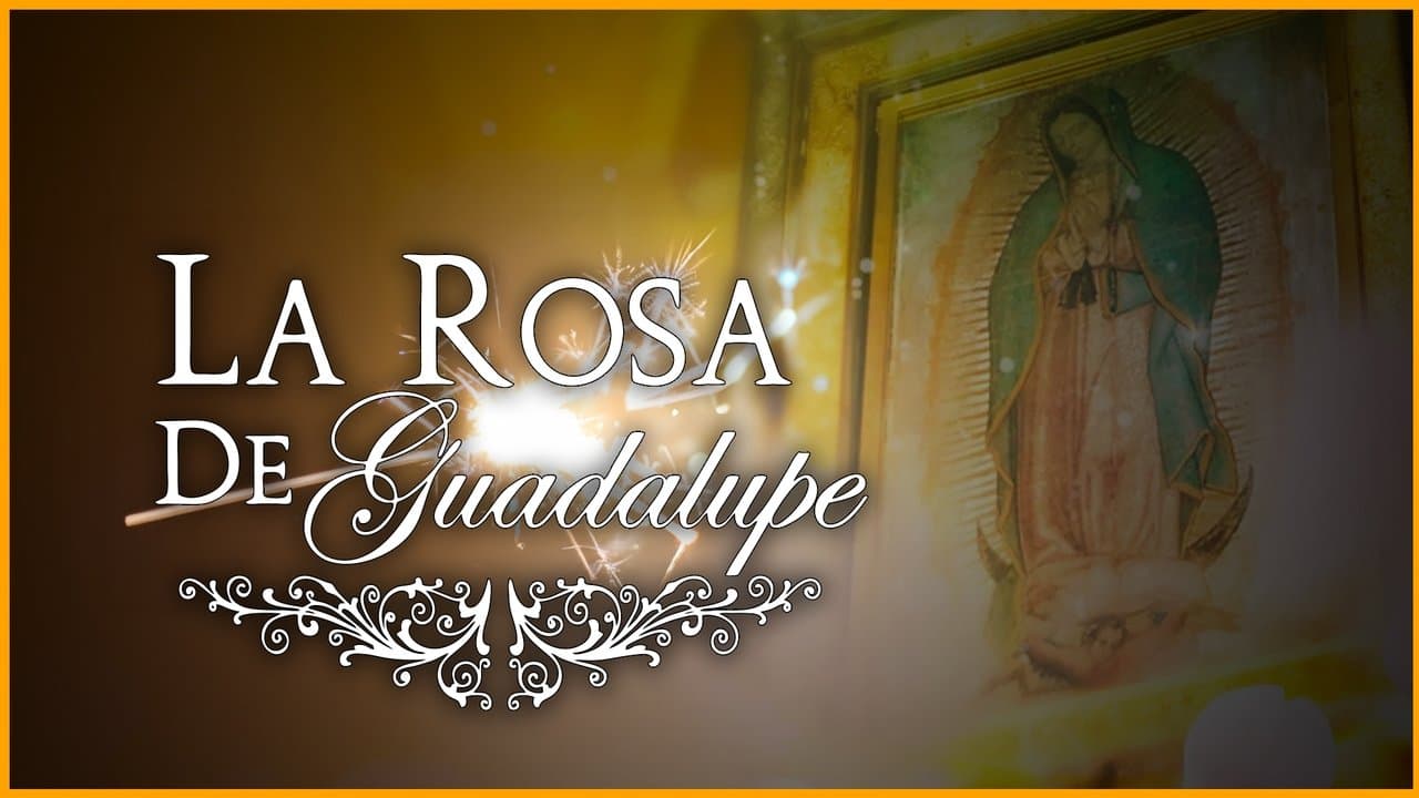 La rosa de Guadalupe — backdrops 1