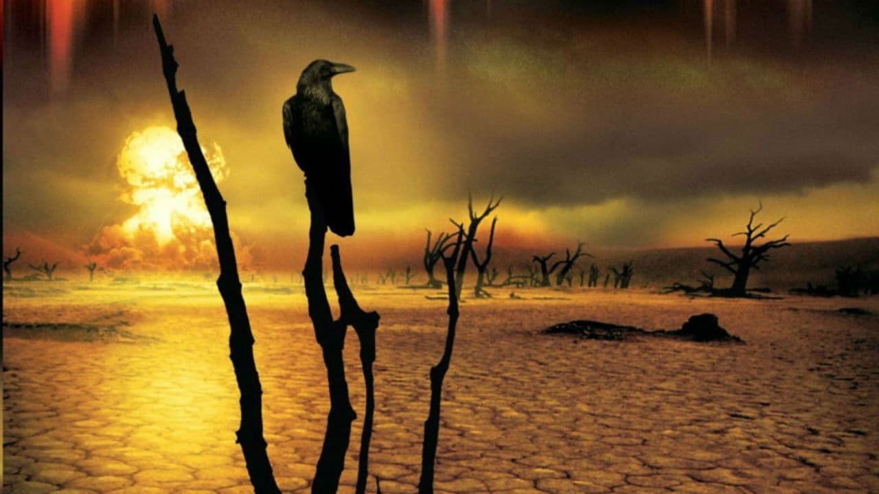 The Stand — backdrops 3