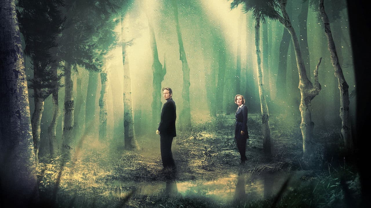The X-Files — backdrops 7
