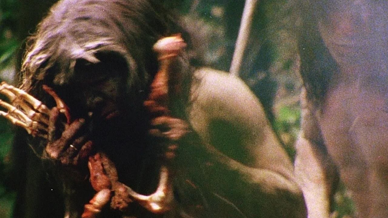Cannibal Holocaust — backdrops 7