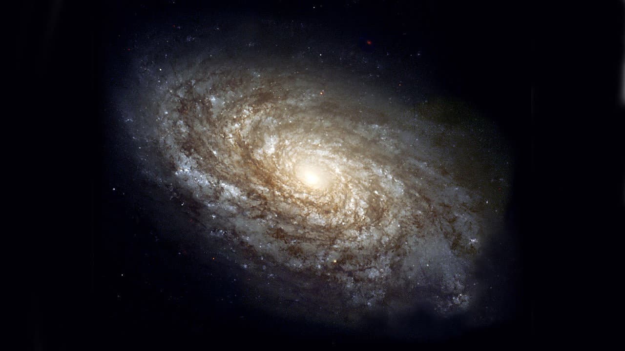 Cosmos: A Personal Voyage — backdrops 4