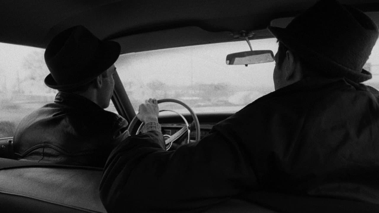 Stranger Than Paradise — backdrops 7