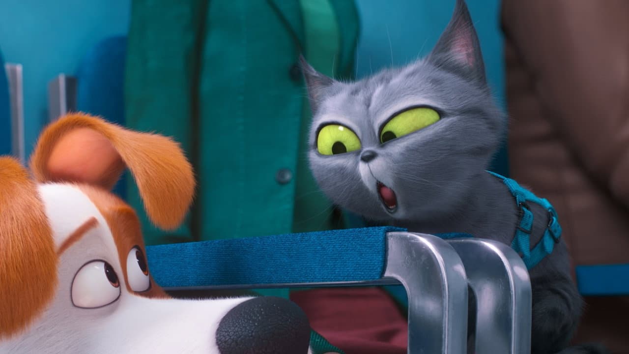 The Secret Life of Pets 2 — backdrops 7