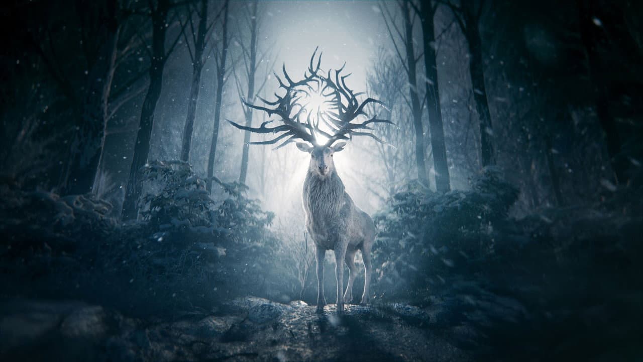 Shadow and Bone — backdrops 8