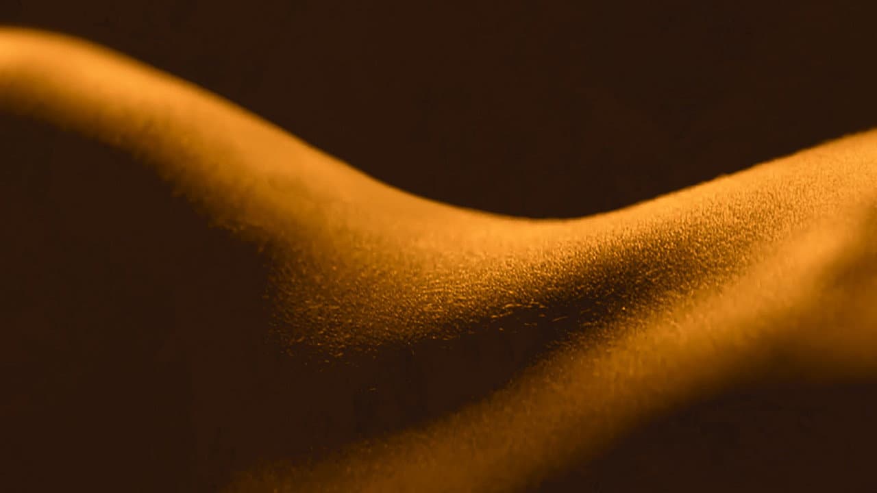 Sex, Explained — backdrops 2