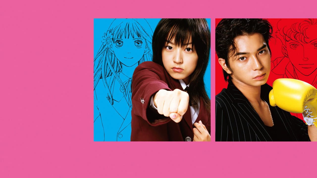 BOYS OVER FLOWERS — backdrops 4