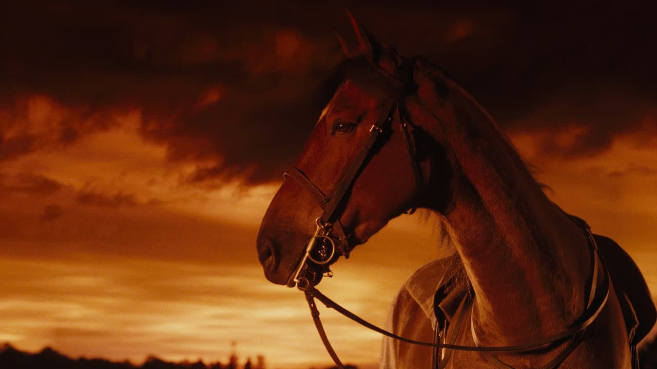 War Horse — backdrops 8