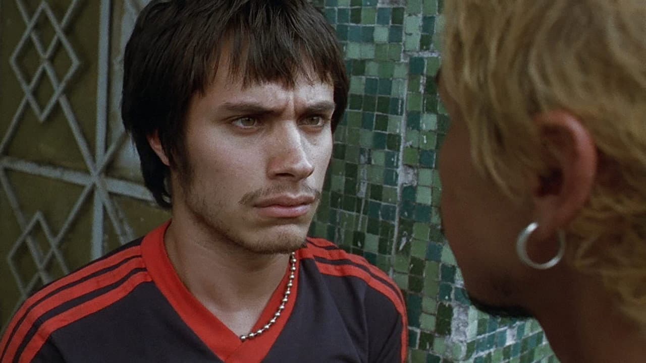 Amores Perros — backdrops 8