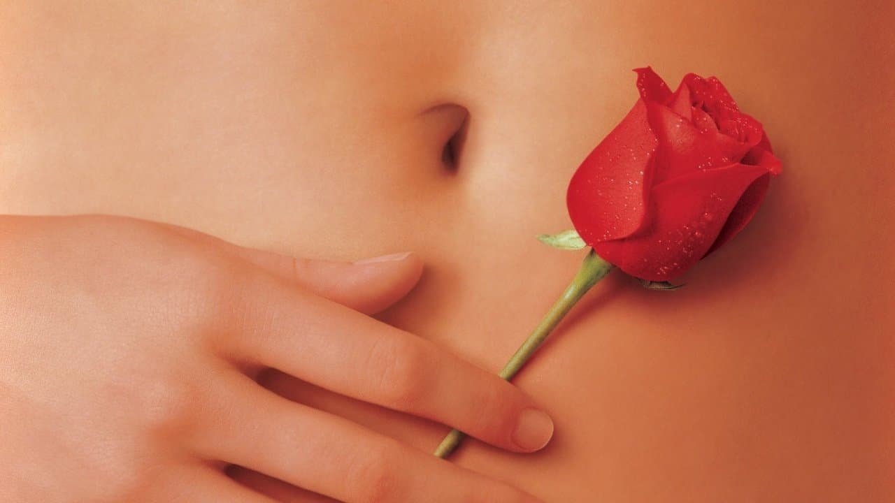 American Beauty — backdrops 2