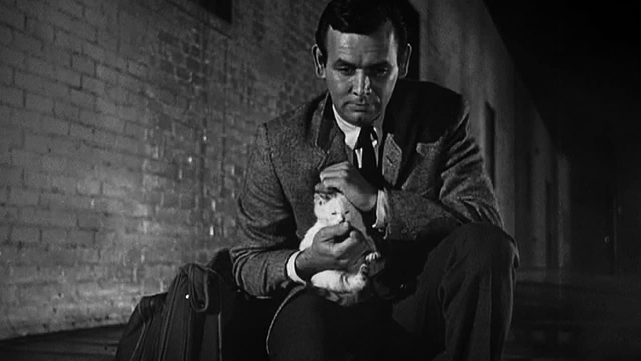 The Fugitive — backdrops 6