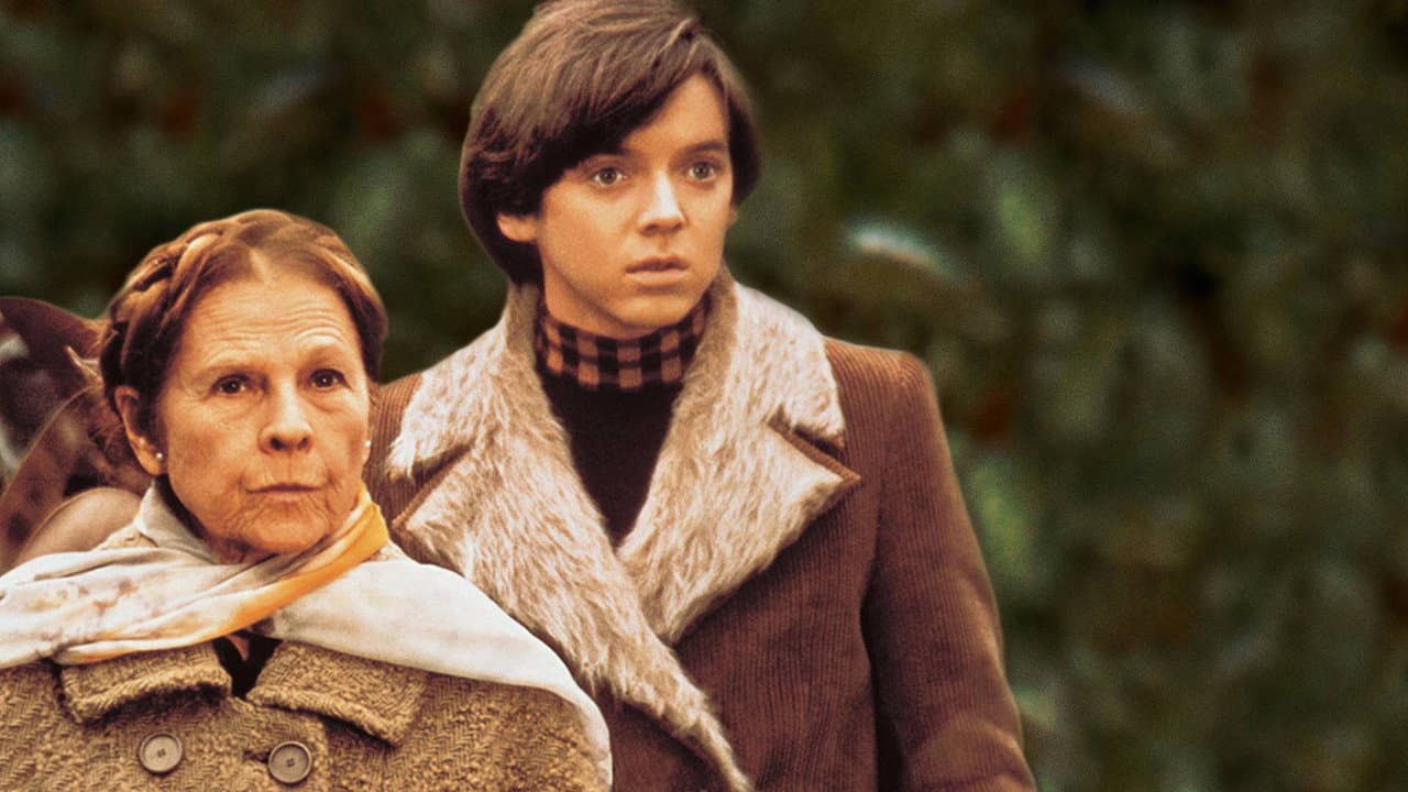 Harold and Maude — backdrops 5