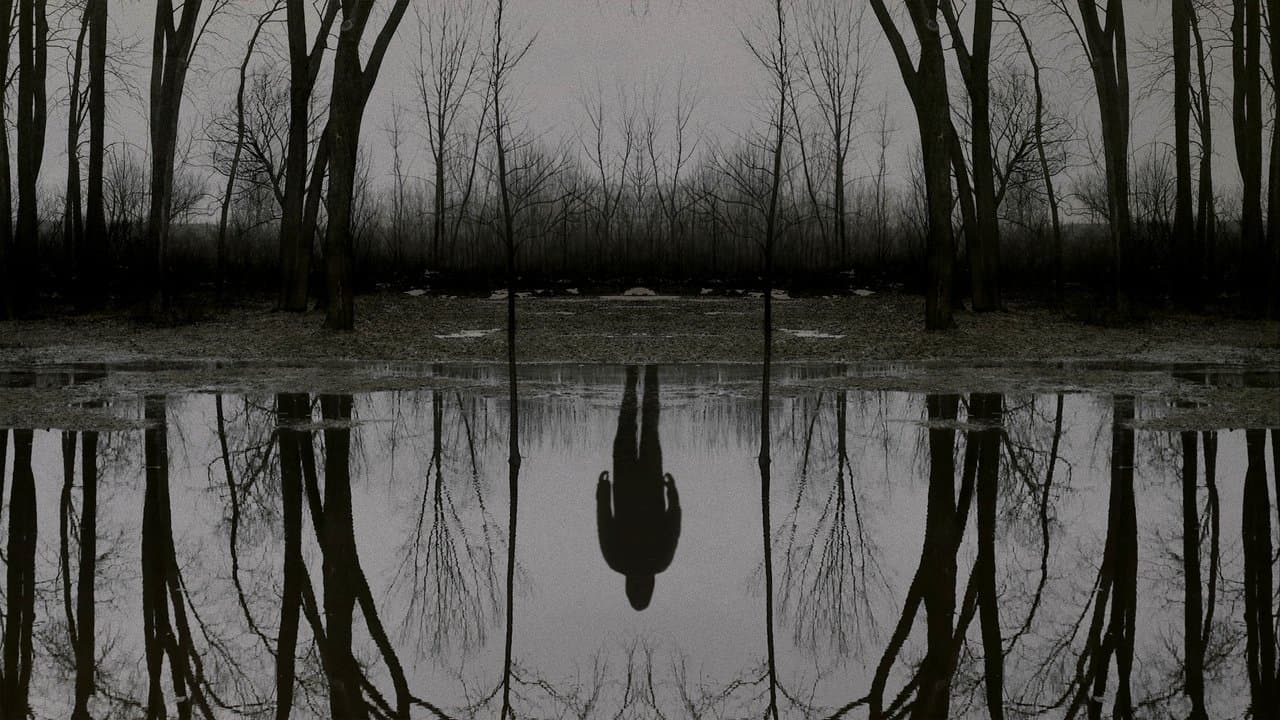 The Outsider — backdrops 1