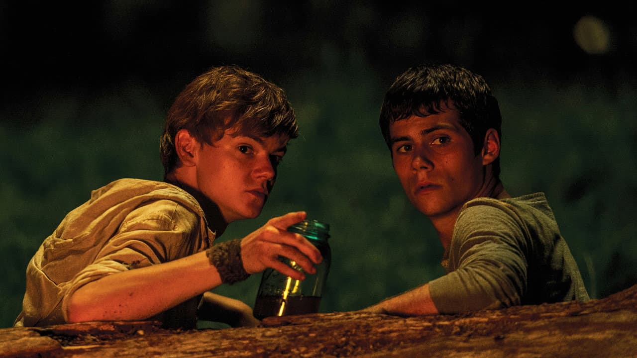The Maze Runner — backdrops 3