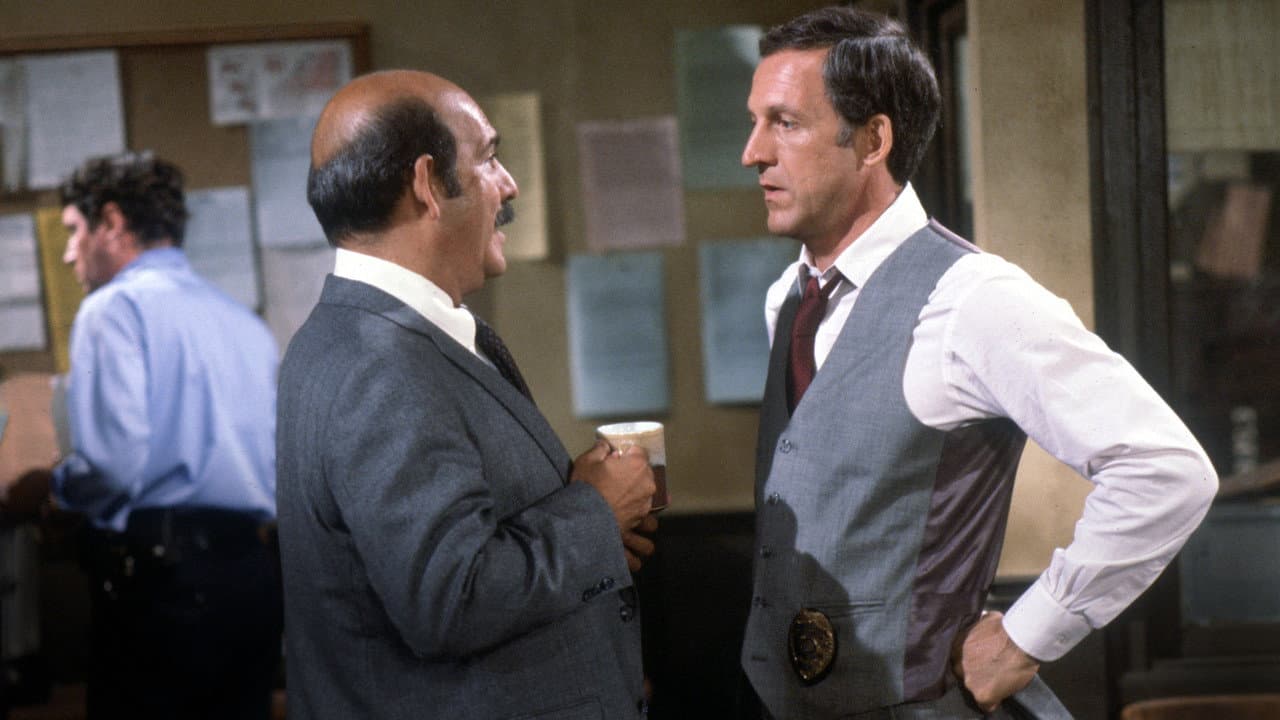 Hill Street Blues — backdrops 4