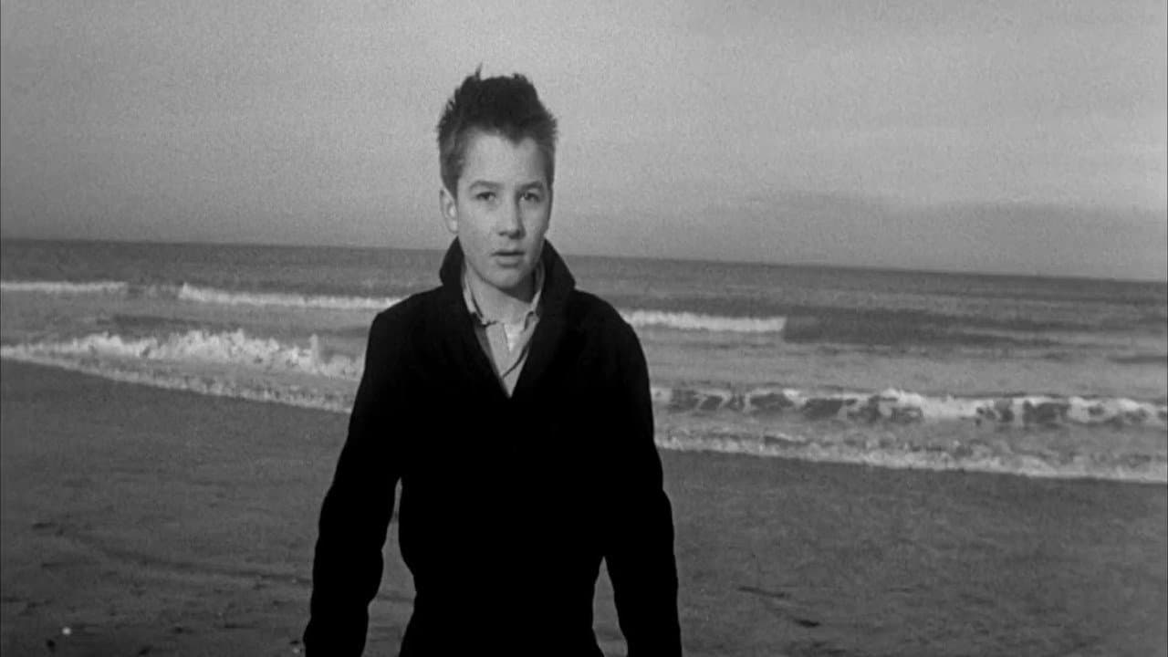 The 400 Blows — backdrops 3