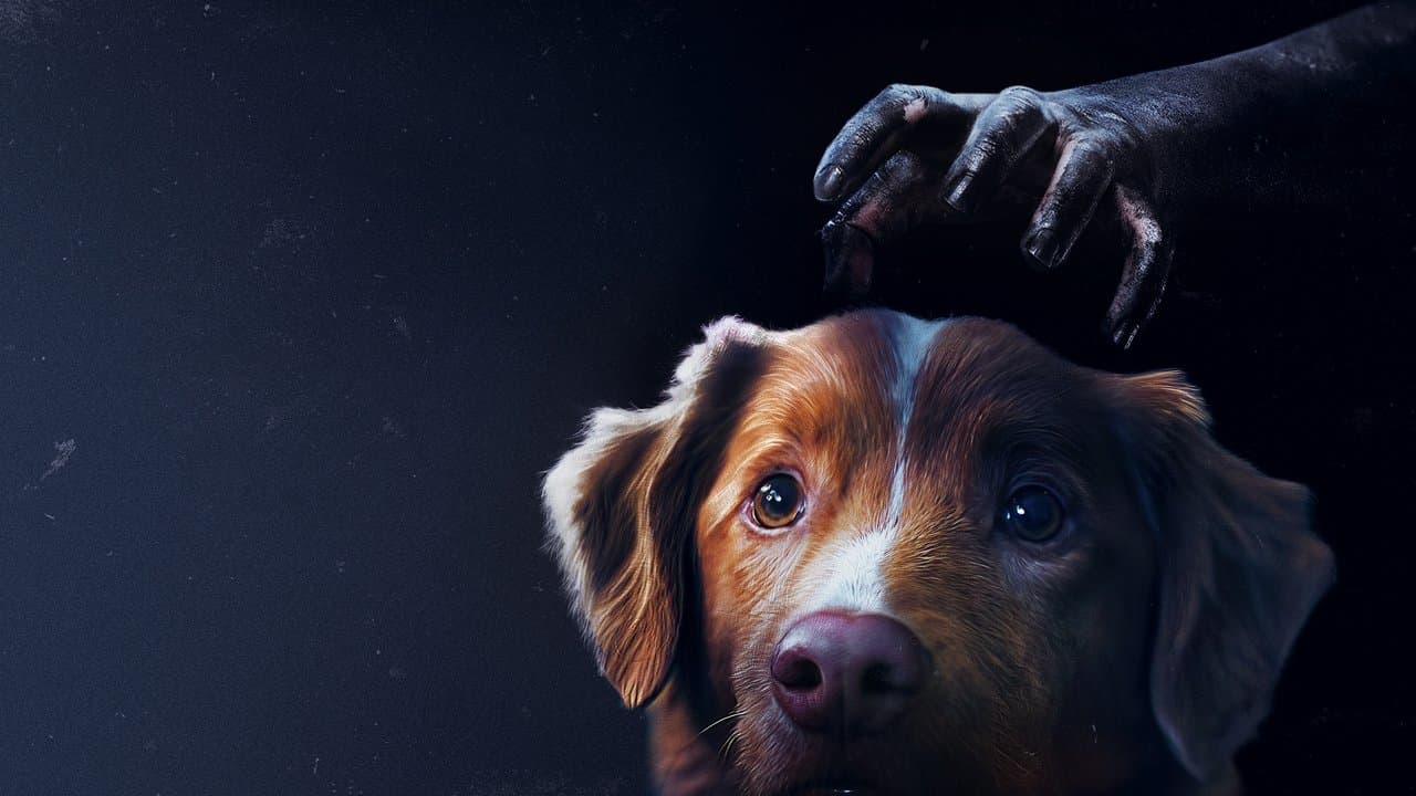 Good Boy — backdrops 1